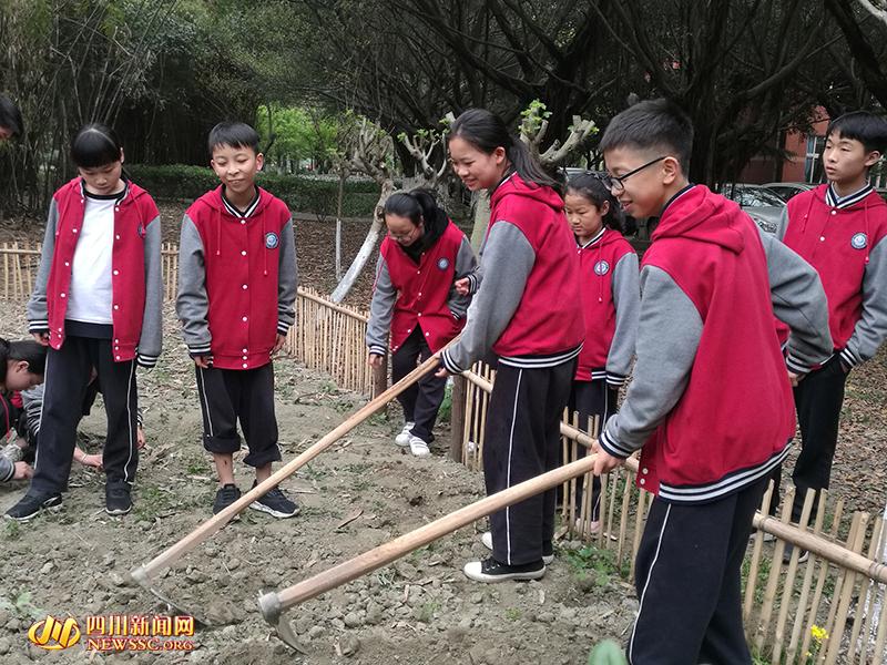 成都一中学设校园农场 上课就是种藕栽花打鱼